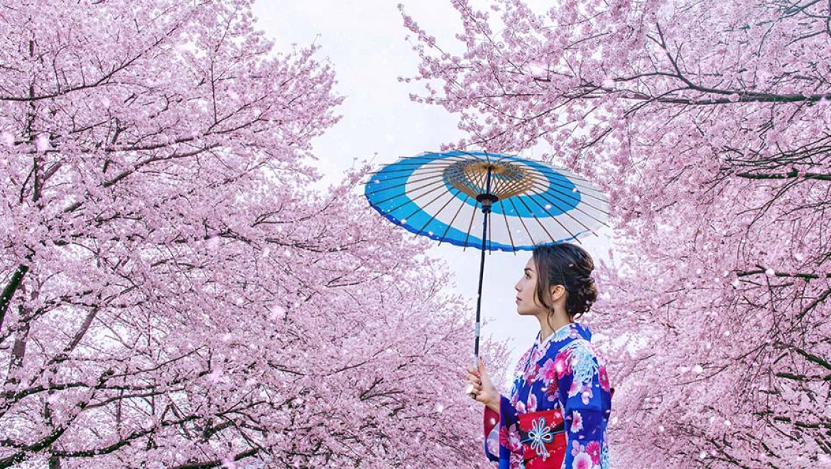 ANA ו-Japan Airlines מציעות טיסות פנים חינם לתיירים זרים