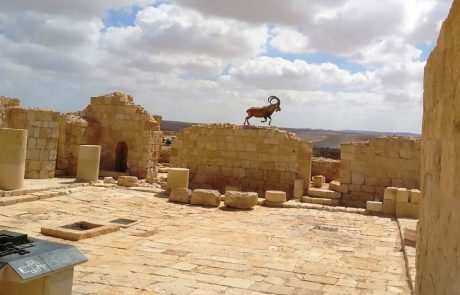 שיא מטיילים בכל הזמנים: מעל ל- 1.2 מיליון בחג הסוכות וחוה"מ השנה