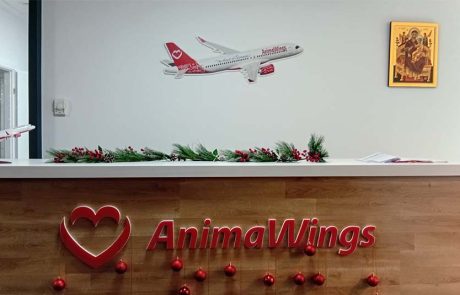 animawings מודיעה: 50% הנחה על כל הטיסות במבצע בלאק פריידי