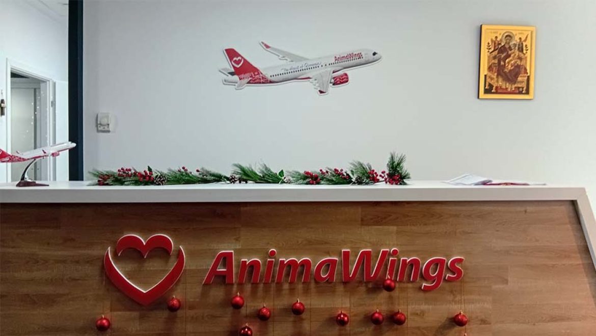 animawings מודיעה: 50% הנחה על כל הטיסות במבצע בלאק פריידי