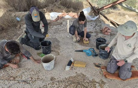 עובדים נגד השעון: מצילים את הפסיפס העתיק בחורבת גררית