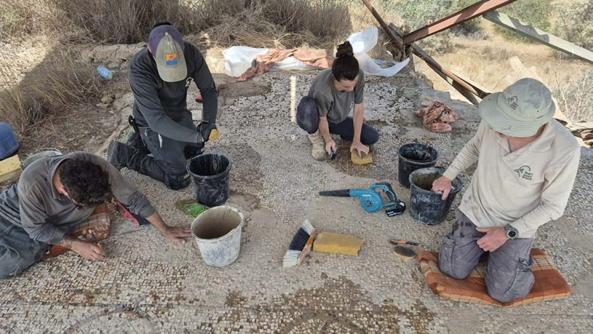 מצילים את הפסיפס העתיק בחורבת גררית. צילום ד עובדים נגד השעון: מצילים את הפסיפס העתיק בחורבת גררית