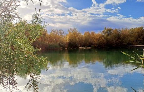 רשות הטבע והגנים מזמינה לסוף שבוע של טבע, תרבות ונופים