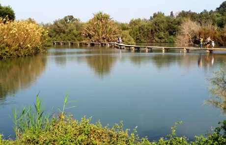 חורף ישראלי: לגלות את ההיסטוריה, המורשת וערכי הטבע ברחבי הארץ