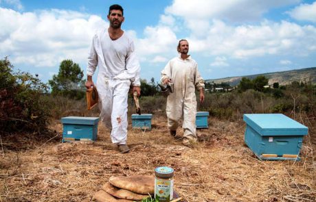 מציינים את יום הדבורים הבינלאומי עם "צוף"