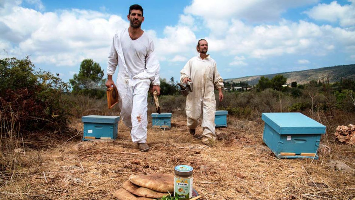 מציינים את יום הדבורים הבינלאומי עם "צוף"