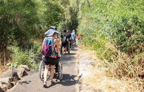 פארק הירדן: קק"ל ממליצה על יער נגיש לכלל הציבור