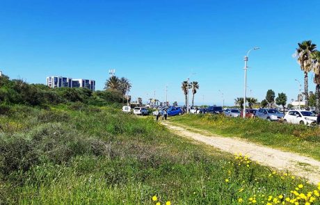 אתר תל מיכל: סיור חינמי במרחבי הטבע באזור הרצליה