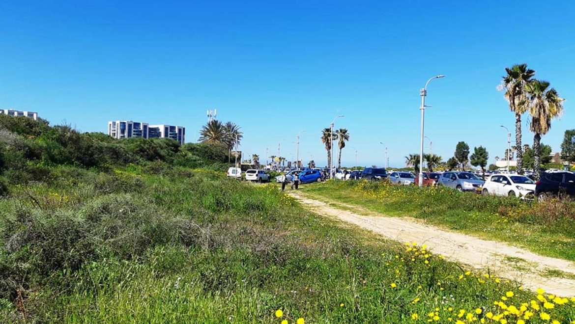 אתר תל מיכל: סיור חינמי במרחבי הטבע באזור הרצליה