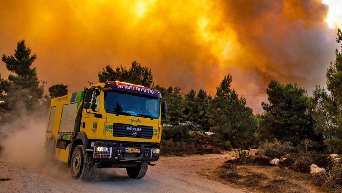 שריפות ביערות קק למטיילים: יערות קק"ל שאסורים לכניסה בשל השריפות