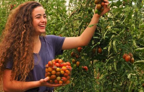 בתיירות הר הנגב חוזרים העסקים לפעול לאחר חודש סיוע למפונים