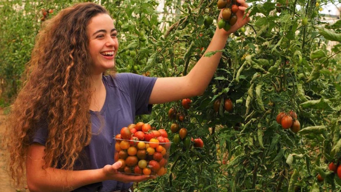 בתיירות הר הנגב חוזרים העסקים לפעול לאחר חודש סיוע למפונים