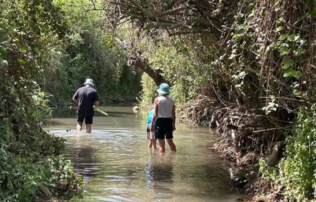 היום קיים חשש משיטפונות בנחלי הנגב, הערבה וים המלח