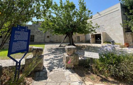 מוזיאון חומה ומגדל בקיבוץ חניתה נפתח שוב לקהל הרחב