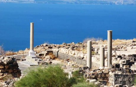 לבלות בחג בטבע הישראלי: שנה חדשה בגנים הלאומיים ובשמורות הטבע