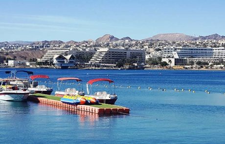 ECOFEST אילת 2025: פסטיבל עירוני ראשון מסוגו