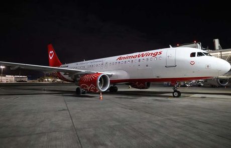AnimaWings המריאה לראשונה מישראל: קו חדש מתל אביב לבוקרשט