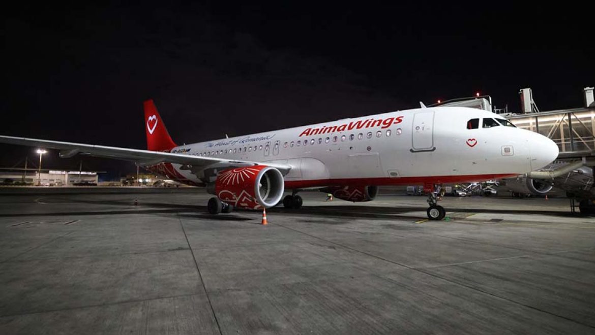 AnimaWings המריאה לראשונה מישראל: קו חדש מתל אביב לבוקרשט