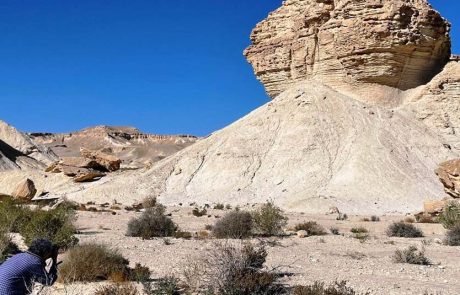 מתחברים לטבע: ט"ו בשבט בתיירות מועצה אזורית הערבה התיכונה