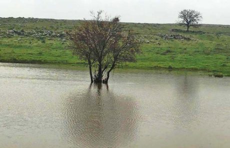 שגשוג ורווחה לטבע ולאדם: החודש לשמירה על בתי הגידול המימיים