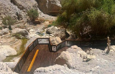 שמורת הטבע עין גדי נפתחת חלקית ע"י רשות הטבע והגנים