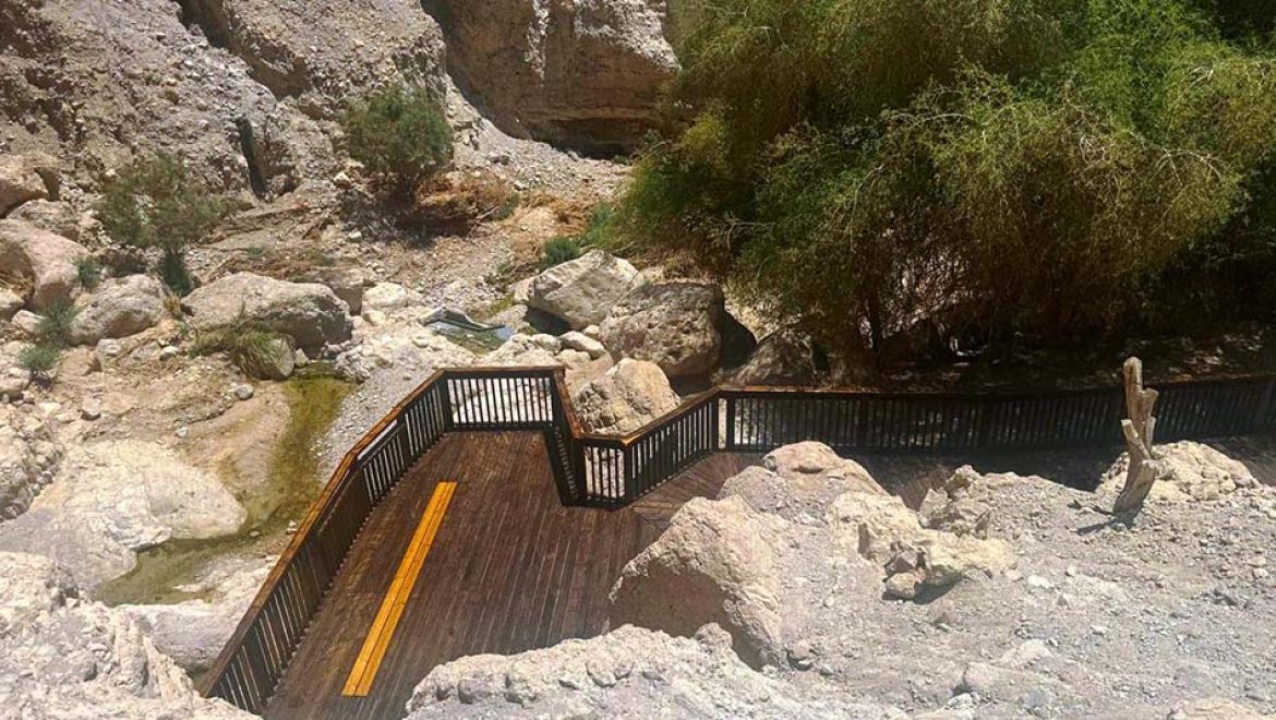 שמורת הטבע עין גדי נפתחת חלקית ע"י רשות הטבע והגנים
