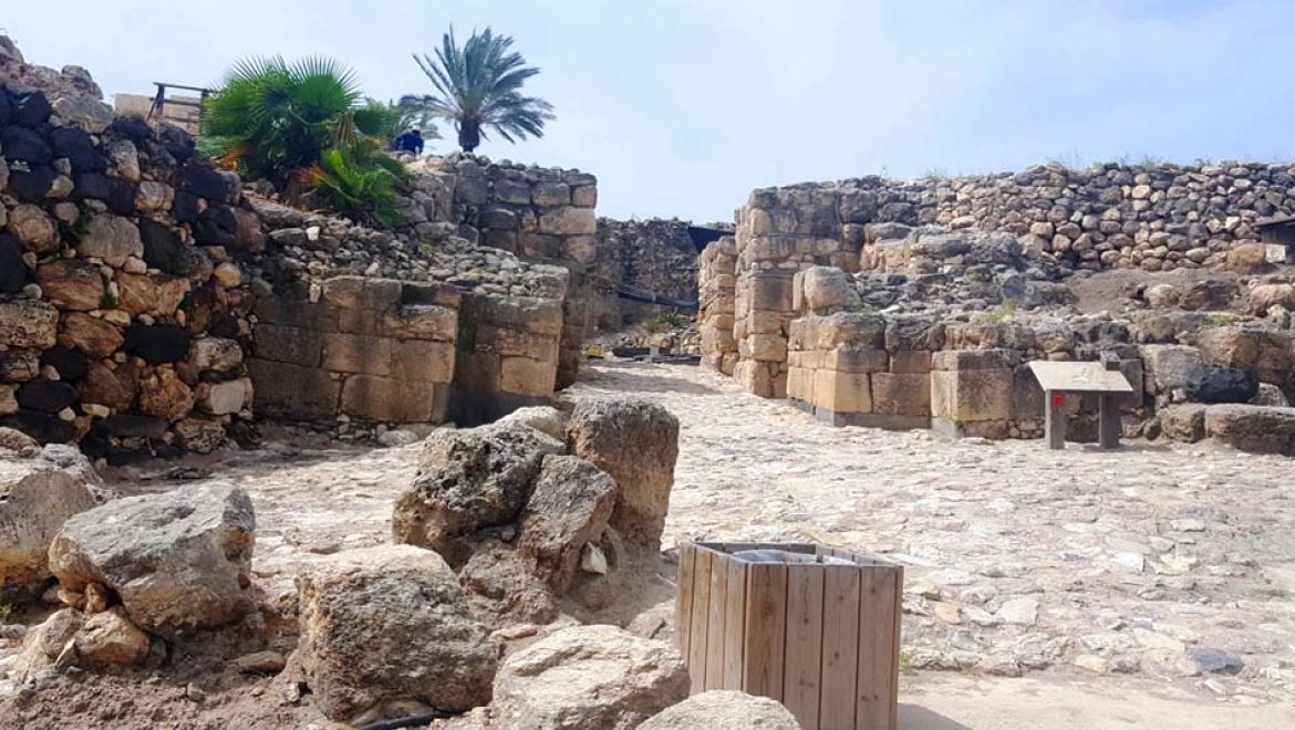 גן לאומי תל מגידו. צילום שוש להב אֵם כל התִּלִּים: 100 שנות ארכיאולוגיה בגן הלאומי תל מגידו