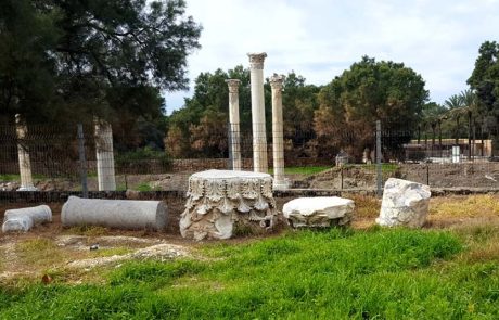 בוחרים מקומי ומטיילים מקומי, באתרי רשות הטבע והגנים