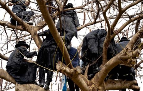 מוז"א: עדות מקומית 2022 והתערוכה הבינלאומית World Press Photo