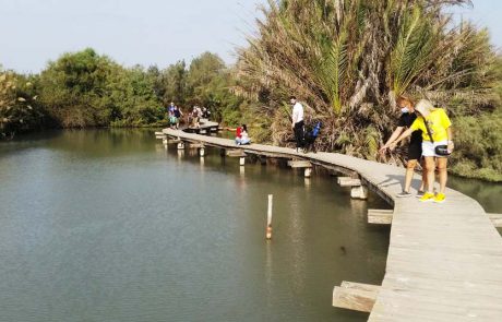 מטיילים היום אחר הצהריים בשמורת טבע עין אפק