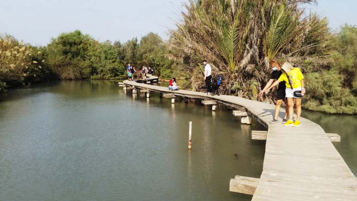 מטיילים היום אחר הצהריים בשמורת טבע עין אפק