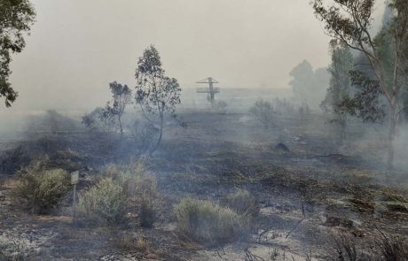 המטיילים היזהרו! השריפות משתוללות ועל הציבור לנהוג באחריות