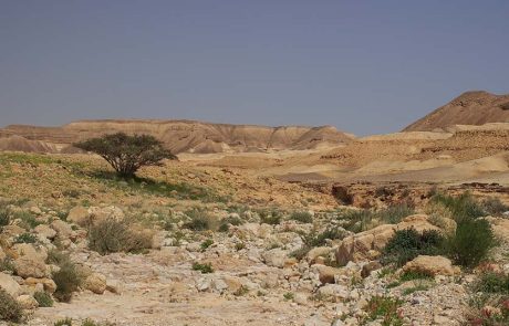 הנחיות לטיול בטוח: "שמירה על כללי בטיחות יכולה להציל חיים"