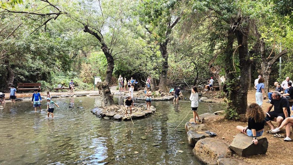 בשמורת הטבע תל דן. צילום רותם כהן וידר, רט מוזמנים בחופשת סוכות לטיולים בטבע