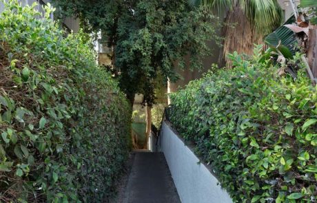 "גינות הבלוק העירוני": תכנון המרחב הנופי הייחודי של העיר ת"א