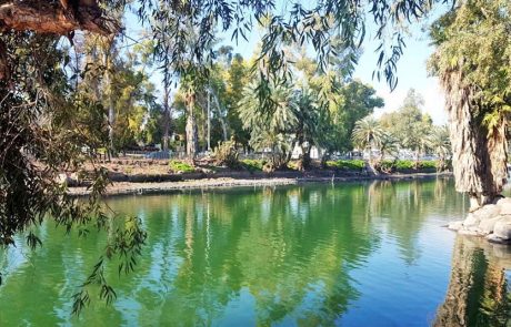 מטיילים בטבע ומתחברים למורשת: חווית חג שבועות ברשות הטבע והגנים