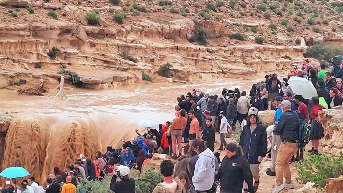 שימו לב: אזהרה למטיילים במרחבי הארץ ובעיקר בדרומה