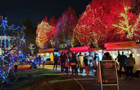 Winter Lights: האירוע המרכזי של החורף בגן הבוטני בירושלים