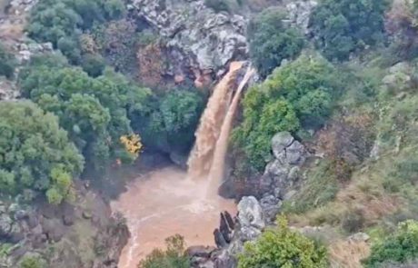 שוצף קוצף ברחבי ישראל: עדכון מרשות הטבע והגנים