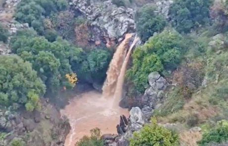 שוצף קוצף ברחבי ישראל: עדכון מרשות הטבע והגנים