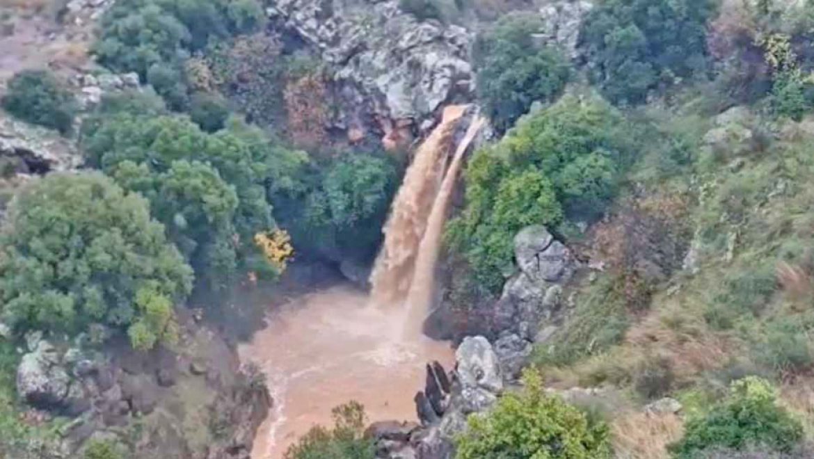 שוצף קוצף ברחבי ישראל: עדכון מרשות הטבע והגנים