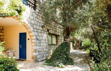 סוף שבוע של יין וקולינריה משובחת במלון רות צפת