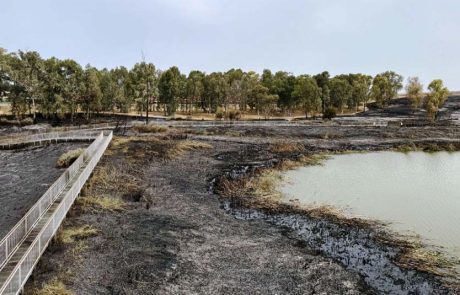 לא נטייל בה: שמורת טבע עיינות גבתון נשרפה כליל