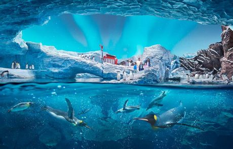 האטרקציה המרגשת SeaWorld Abu Dhabi נפתחה בטקס חגיגי