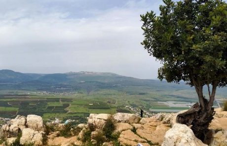 "נובמבר הירוק" כקונטרה ל'בלאק פריידי": אירועים סביבתיים וטיולים