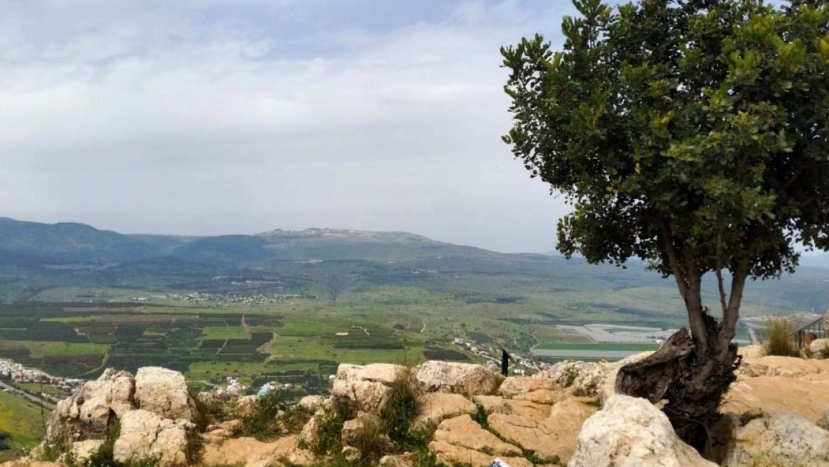 "נובמבר הירוק" כקונטרה ל'בלאק פריידי": אירועים סביבתיים וטיולים