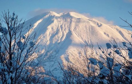 Japow: אבקת השלג היפנית ההופכת את יפן למעצמת סקי