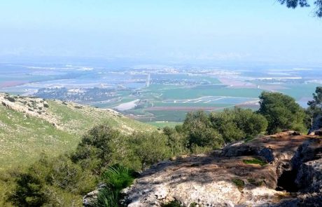 קמפיין הקיץ של משרד התיירות:"זה הזמן לחופשה בישראל"