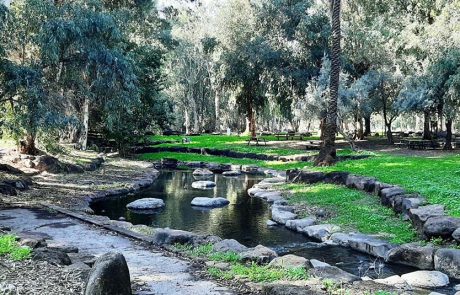 תיירות החברה הכלכלית גולן: מטיילים בגולן אחרי הגשם