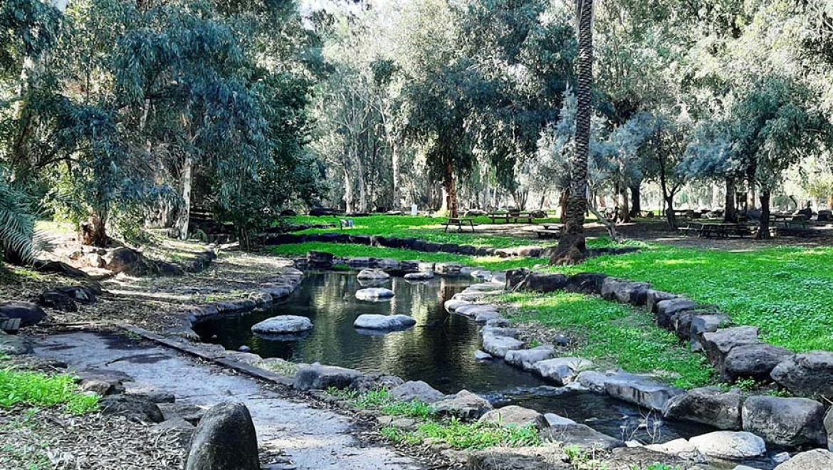 תיירות החברה הכלכלית גולן: מטיילים בגולן אחרי הגשם